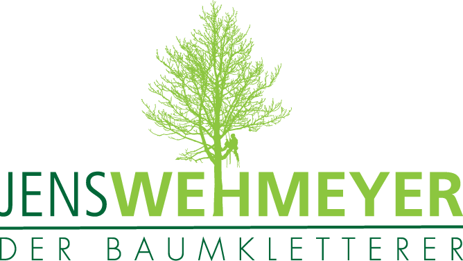 Jens Wehmeyer – Der Baumkletterer